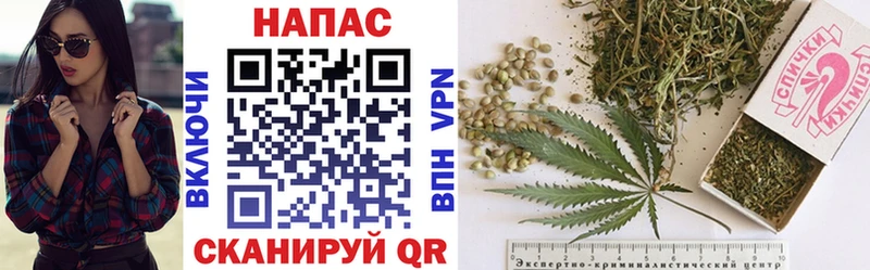 где продают   Хасавюрт  ссылка на мегу рабочий сайт  Шишки марихуана план 